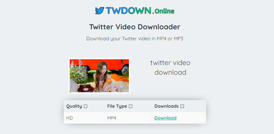 TWDOWN.onlineで動画を保存する手順2