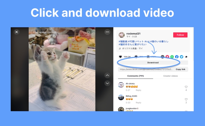 tiktok-downloader-extension-2.png