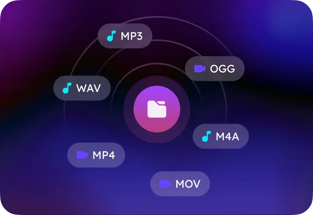 Supports Multiple Audio Formats