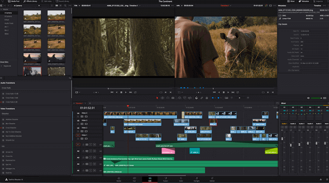 DaVinci Resolve